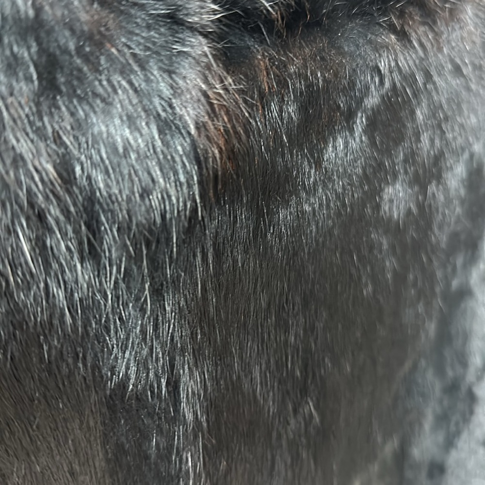 Rabbit Fur Jacket - Picture 6 of 6